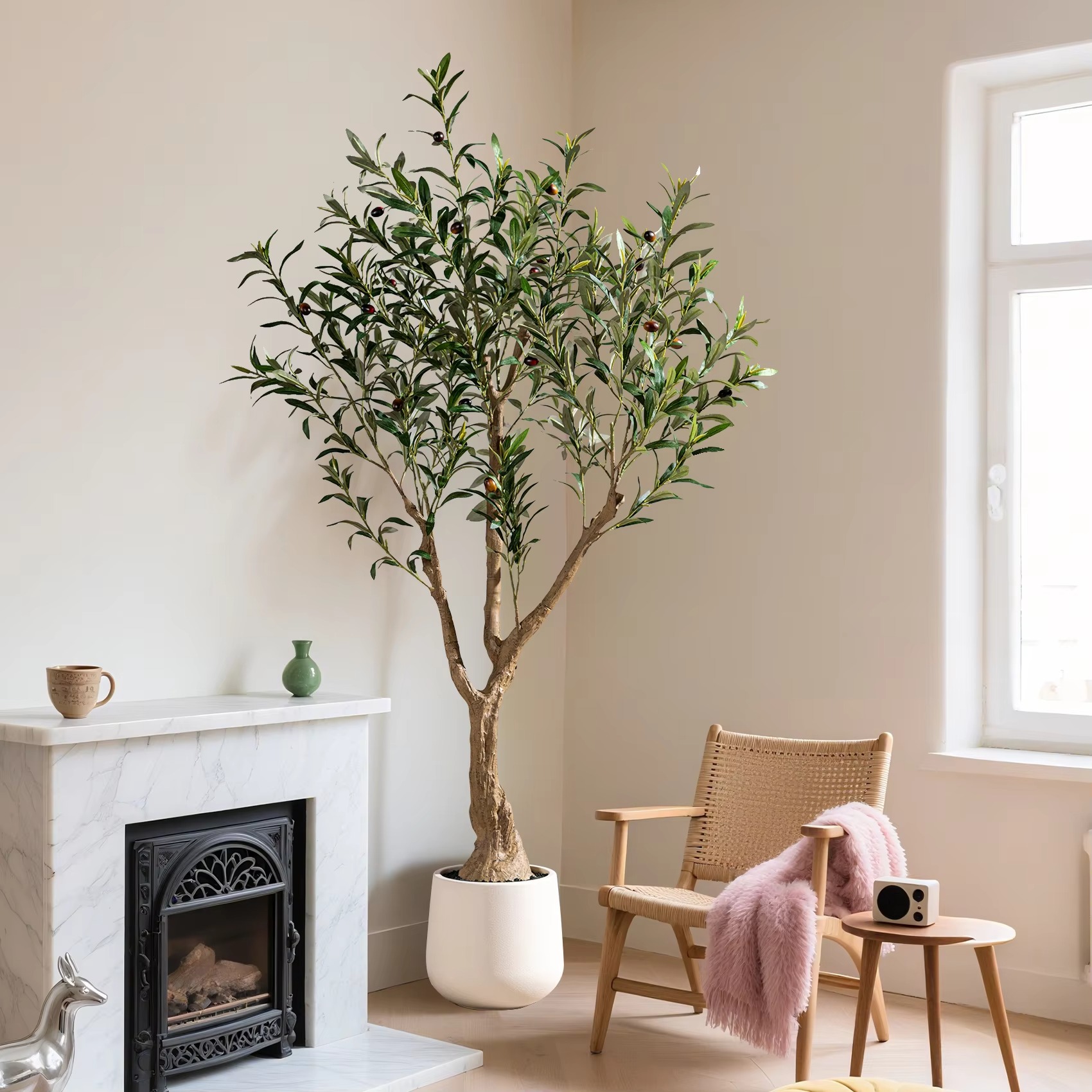 Olive Trees(with white pots)